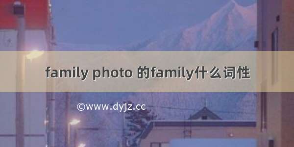 family photo 的family什么词性