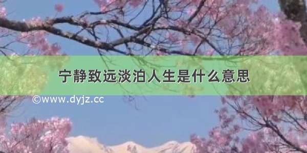 宁静致远淡泊人生是什么意思