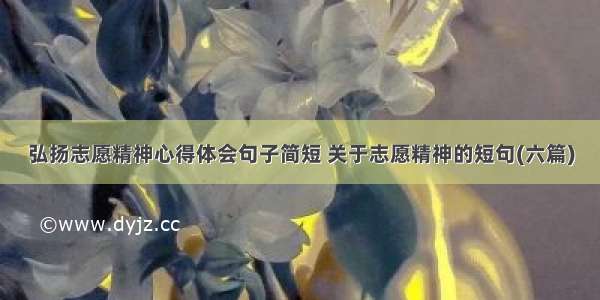 弘扬志愿精神心得体会句子简短 关于志愿精神的短句(六篇)