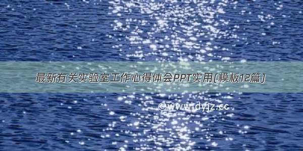 最新有关实验室工作心得体会PPT实用(模板12篇)