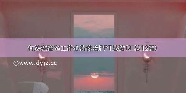 有关实验室工作心得体会PPT总结(汇总12篇)