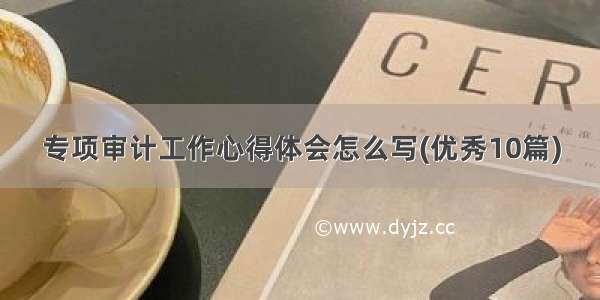 专项审计工作心得体会怎么写(优秀10篇)