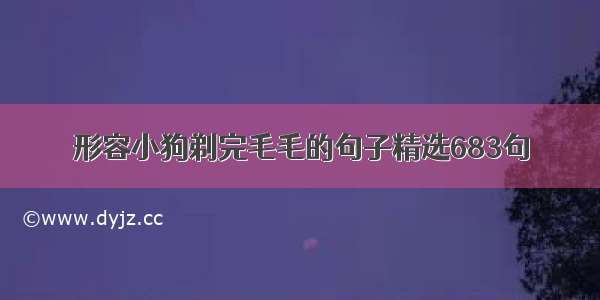 形容小狗剃完毛毛的句子精选683句