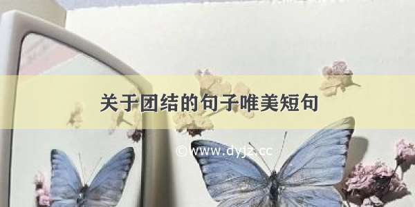 关于团结的句子唯美短句