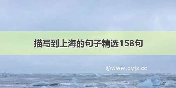 描写到上海的句子精选158句