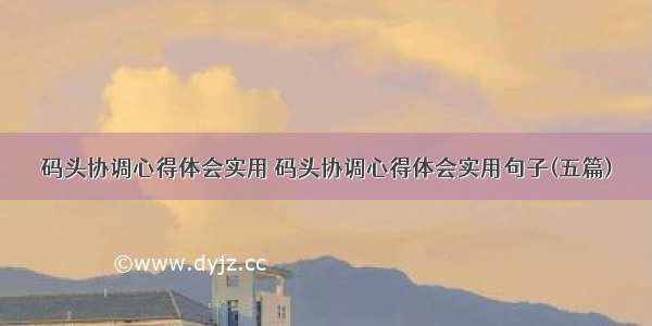 码头协调心得体会实用 码头协调心得体会实用句子(五篇)