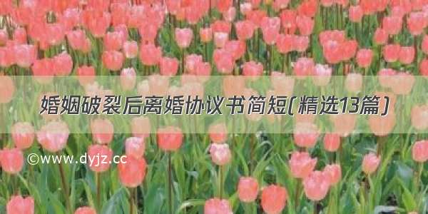 婚姻破裂后离婚协议书简短(精选13篇)