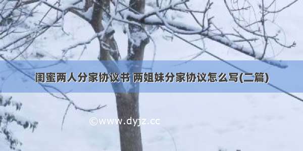 闺蜜两人分家协议书 两姐妹分家协议怎么写(二篇)