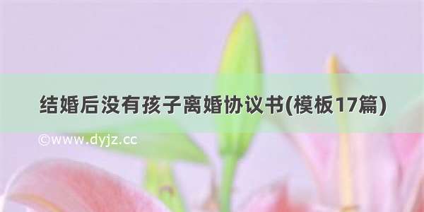 结婚后没有孩子离婚协议书(模板17篇)