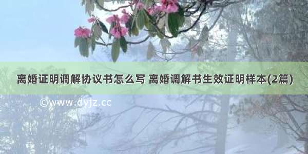 离婚证明调解协议书怎么写 离婚调解书生效证明样本(2篇)