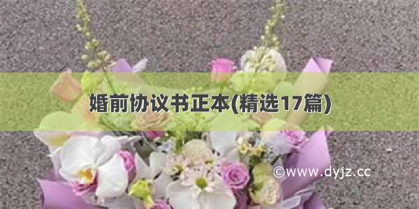 婚前协议书正本(精选17篇)