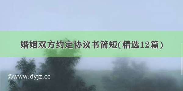 婚姻双方约定协议书简短(精选12篇)