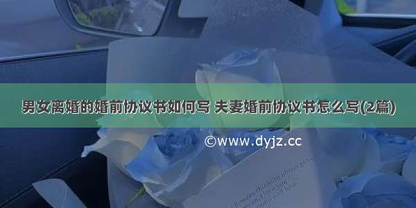 男女离婚的婚前协议书如何写 夫妻婚前协议书怎么写(2篇)