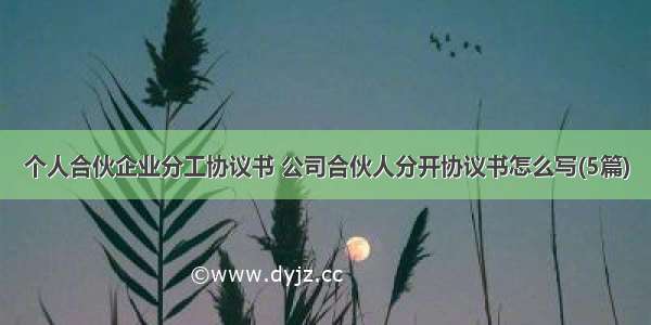 个人合伙企业分工协议书 公司合伙人分开协议书怎么写(5篇)