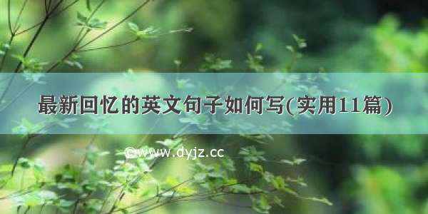 最新回忆的英文句子如何写(实用11篇)