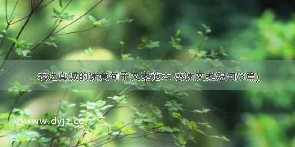 表达真诚的谢意句子文案范本 感谢文案短句(3篇)