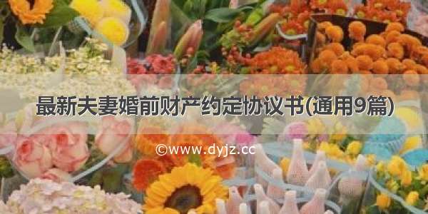 最新夫妻婚前财产约定协议书(通用9篇)