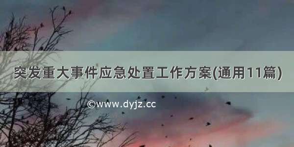 突发重大事件应急处置工作方案(通用11篇)