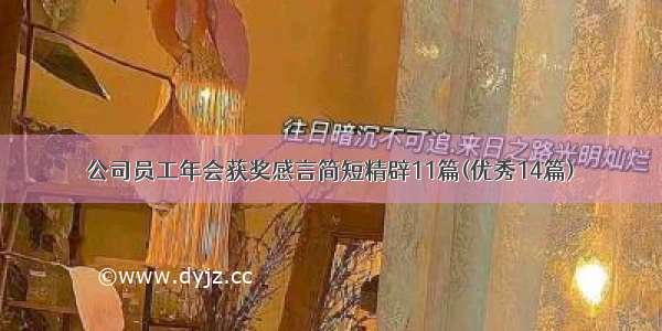 公司员工年会获奖感言简短精辟11篇(优秀14篇)