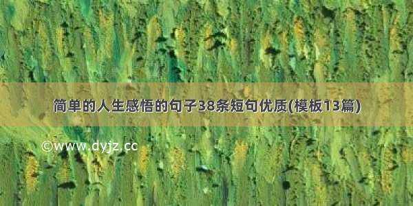 简单的人生感悟的句子38条短句优质(模板13篇)