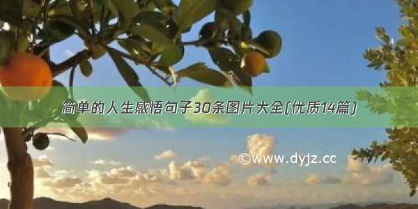 简单的人生感悟句子30条图片大全(优质14篇)