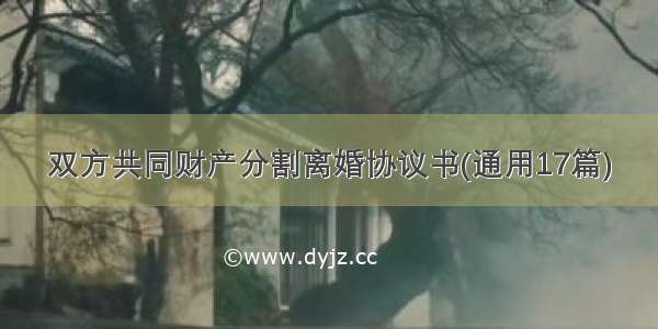 双方共同财产分割离婚协议书(通用17篇)