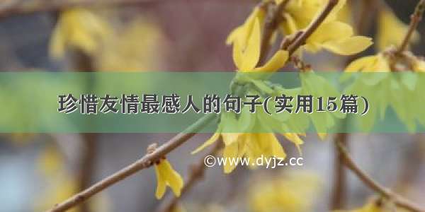 珍惜友情最感人的句子(实用15篇)