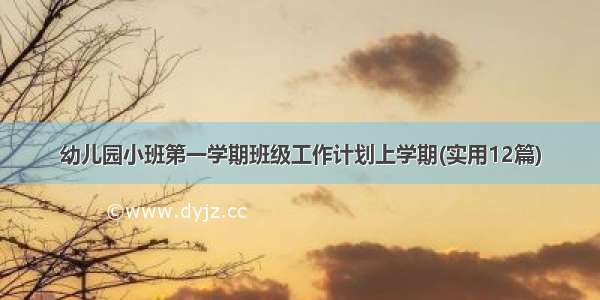 幼儿园小班第一学期班级工作计划上学期(实用12篇)