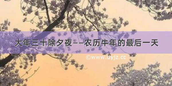 大年三十除夕夜——农历牛年的最后一天