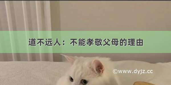 道不远人：不能孝敬父母的理由