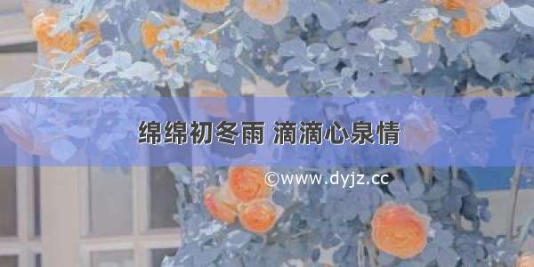 绵绵初冬雨 滴滴心泉情