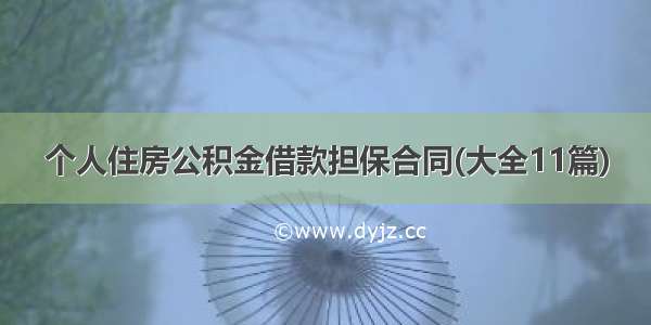 个人住房公积金借款担保合同(大全11篇)