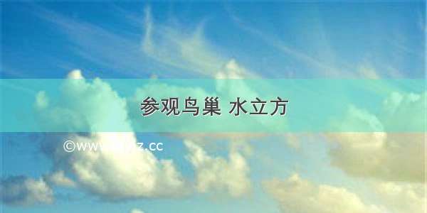 参观鸟巢 水立方