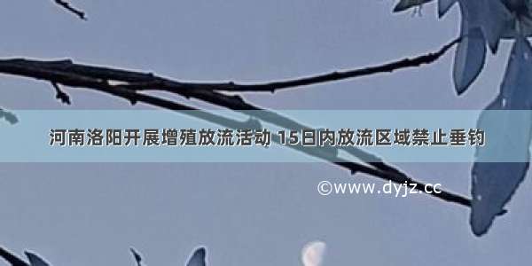 河南洛阳开展增殖放流活动 15日内放流区域禁止垂钓