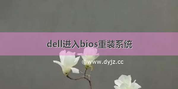 dell进入bios重装系统