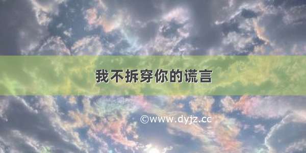 我不拆穿你的谎言