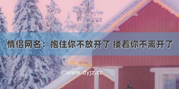 情侣网名：抱住你不放开了 搂着你不离开了