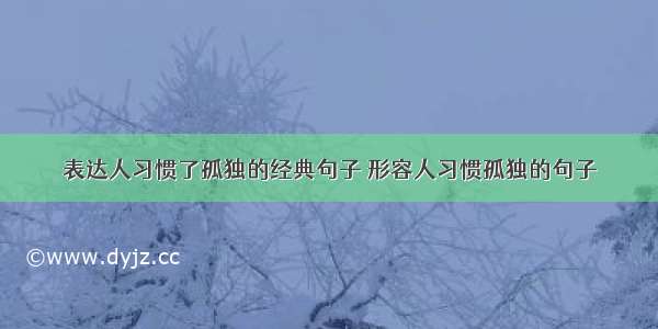 表达人习惯了孤独的经典句子 形容人习惯孤独的句子