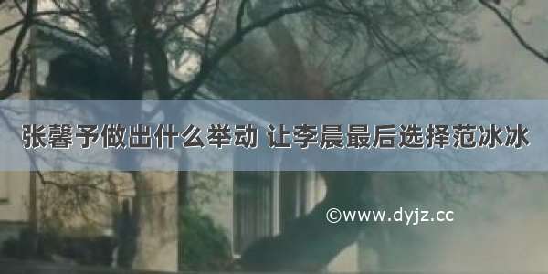 张馨予做出什么举动 让李晨最后选择范冰冰