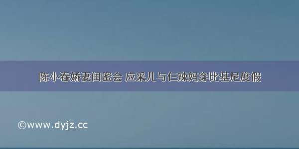 陈小春娇妻闺蜜会 应采儿与仨辣妈穿比基尼度假