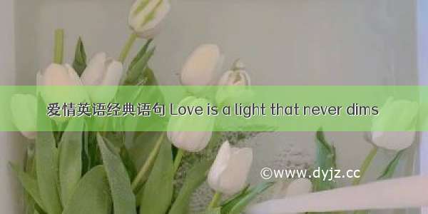 爱情英语经典语句 Love is a light that never dims