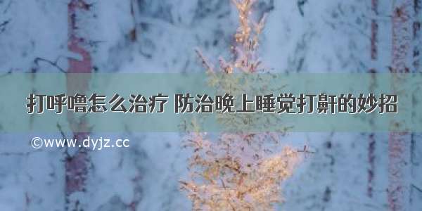 打呼噜怎么治疗 防治晚上睡觉打鼾的妙招