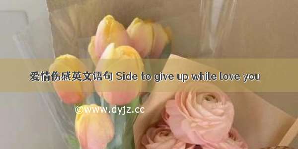 爱情伤感英文语句 Side to give up while love you