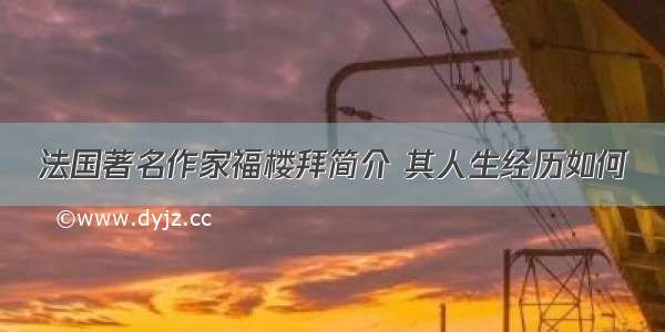 法国著名作家福楼拜简介 其人生经历如何