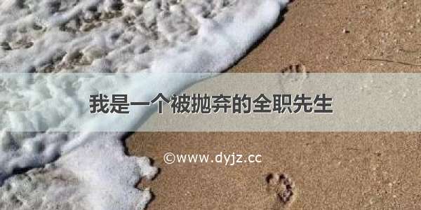 我是一个被抛弃的全职先生