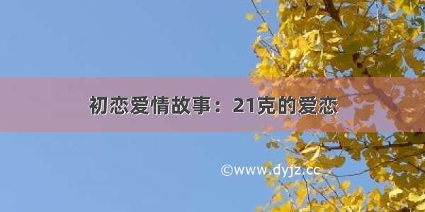 初恋爱情故事：21克的爱恋