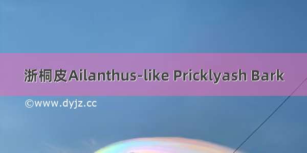 浙桐皮Ailanthus-like Pricklyash Bark