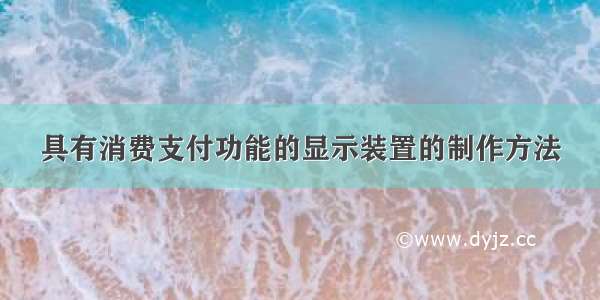 具有消费支付功能的显示装置的制作方法