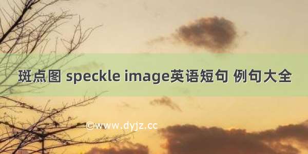 斑点图 speckle image英语短句 例句大全