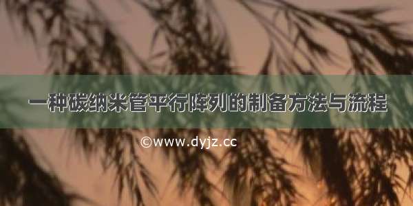 一种碳纳米管平行阵列的制备方法与流程